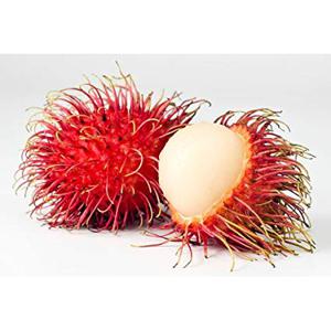 Rambutã
