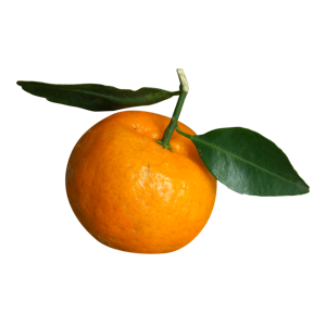 Tangerina