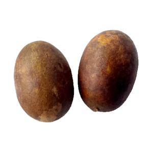 Uxi