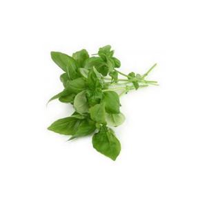 Cidreira
